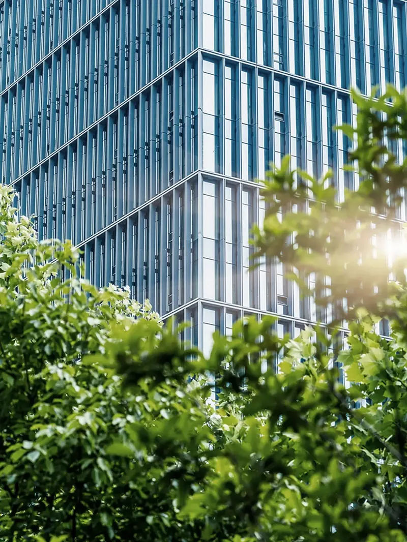 Moderner gläserner Bürogebäudekomplex, teilweise verdeckt durch grüne Bäume, mit Sonnenlicht, das durch das Laub scheint.