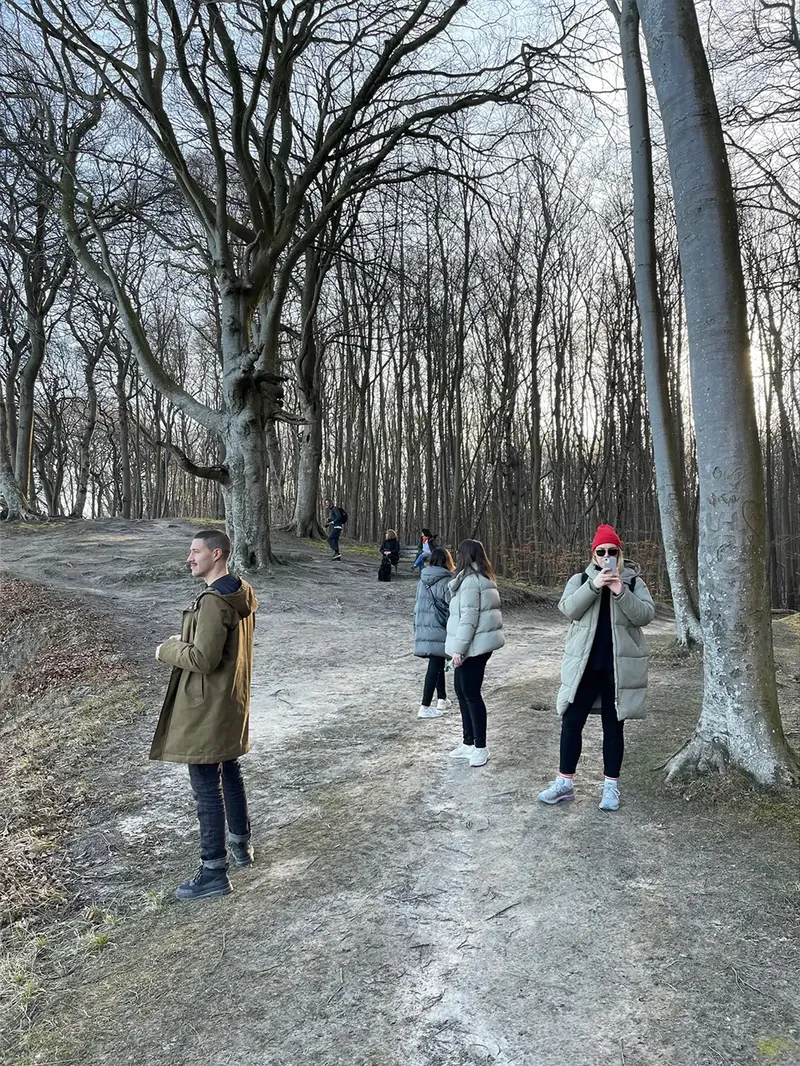 Drei Personen spazieren durch einen dichten Wald, umgeben von hohen Bäumen und grüner Vegetation.